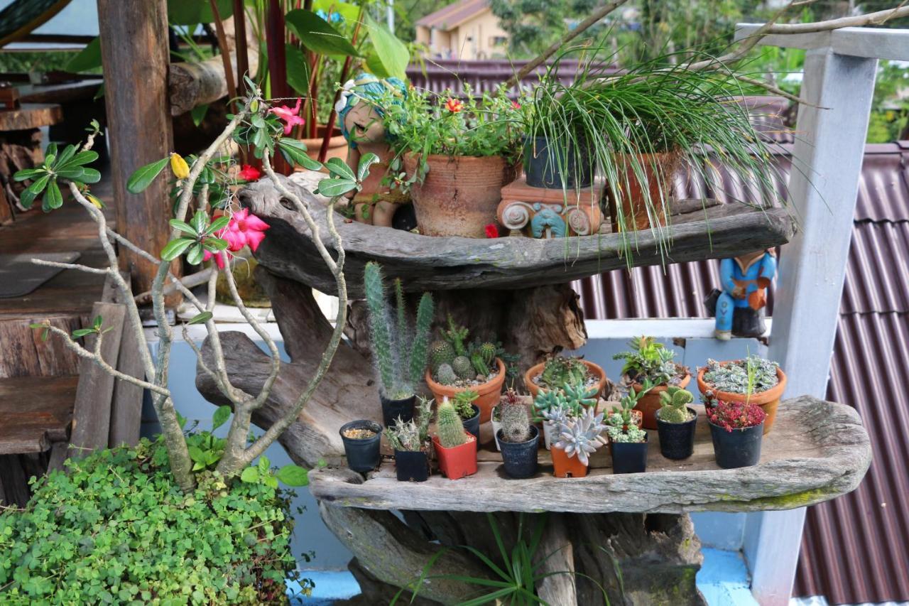 Up2U Guesthouse Pai Dış mekan fotoğraf